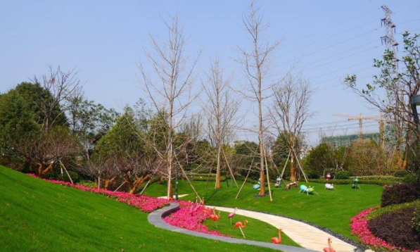 深圳红湾盛园非展示区园林景观装饰工程(图1)