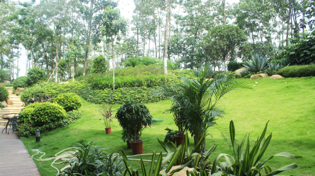 深圳红湾盛园非展示区园林景观装饰工程(图2)